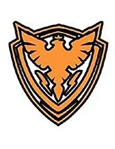 PHOENIX ELECTRIC N LIGHTING Logo