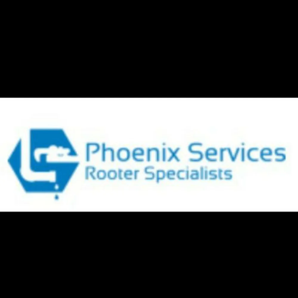 Slide of Phoenix Services