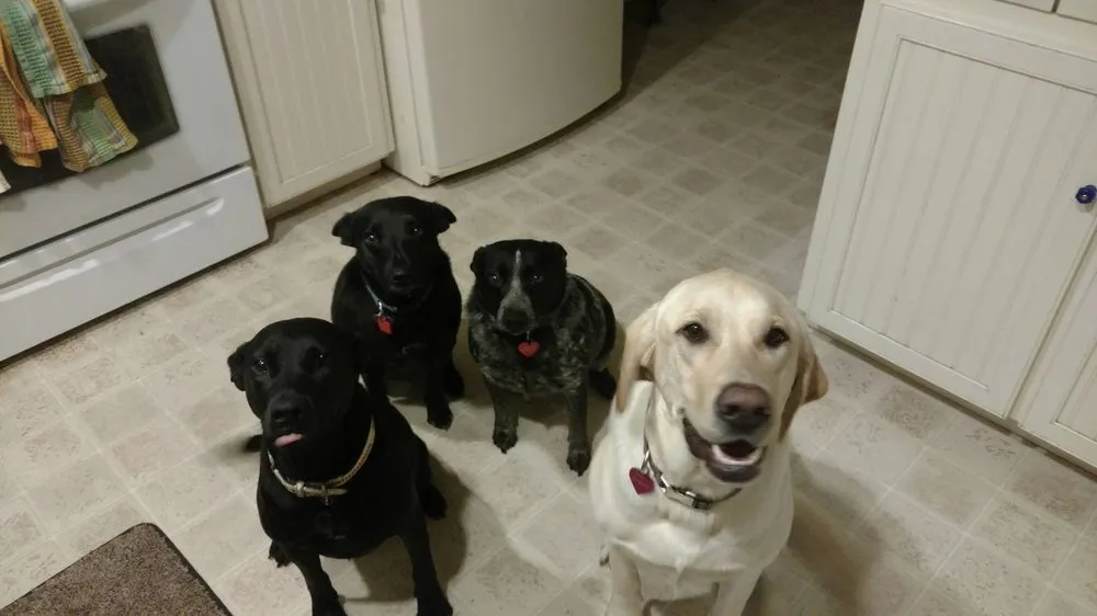 Slide of Pierce Electric & Construction