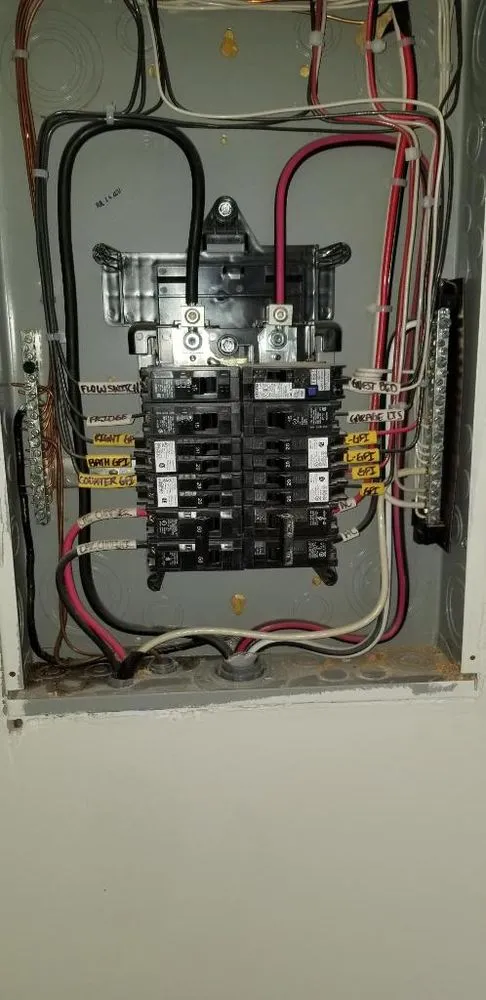 Slide of Pierre Holliday Electric