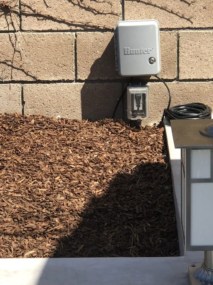 Slide of Pierre Holliday Electric