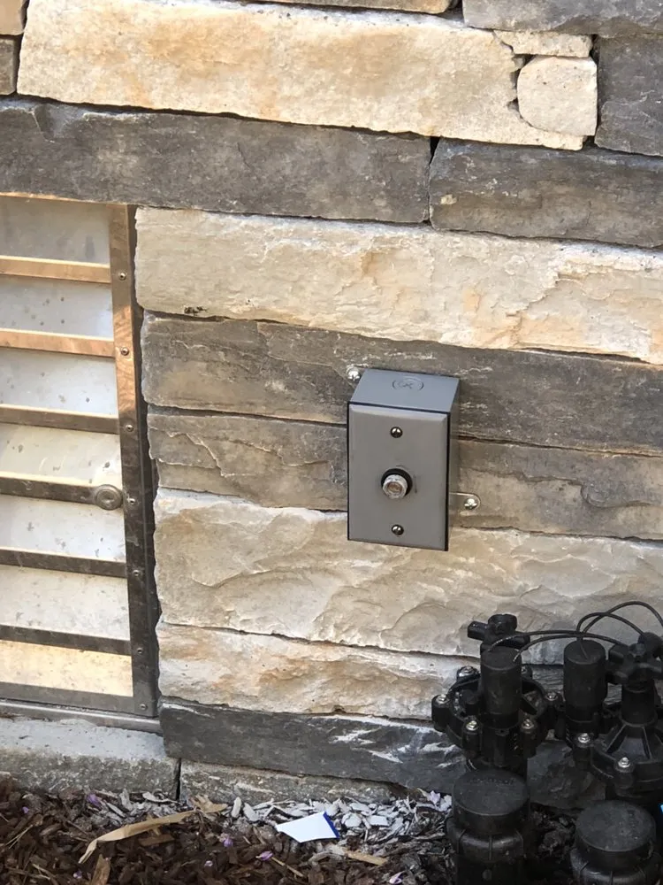 Slide of Pierre Holliday Electric