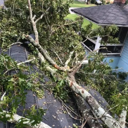 Slide of Pitchy Consulting & Building Service