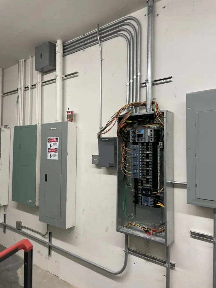 Slide of Pizano’s Electric