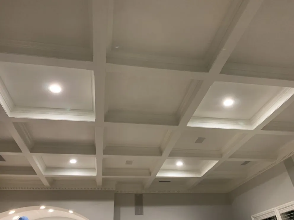 Slide of Platinum Electric