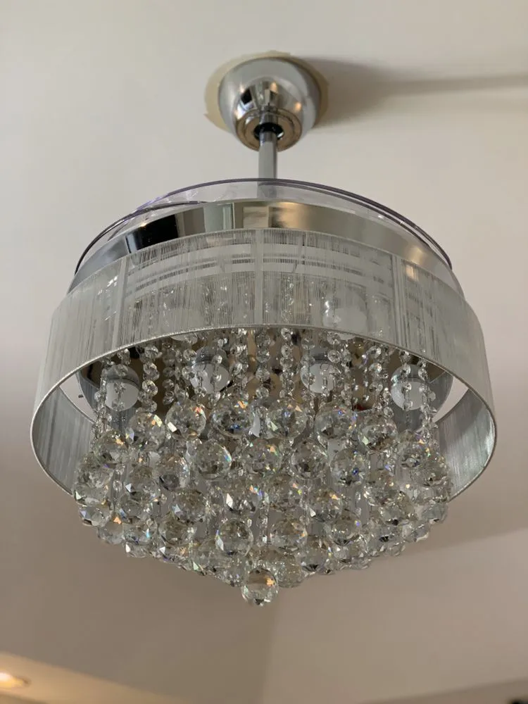 Slide of Platinum Electric