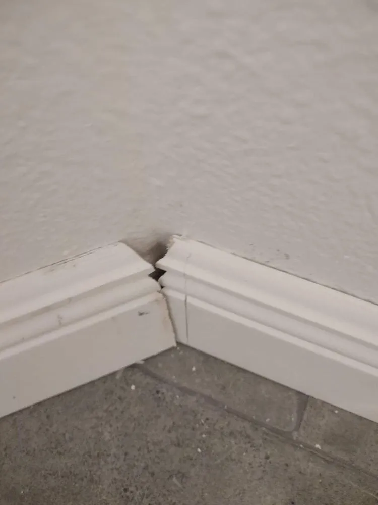 Trusted electrical service for homes in outlet and switch repair,  by 