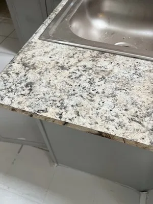 Platinum Handyman Orlando Logo