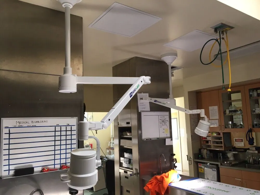 Slide of Pleasure Point Electric