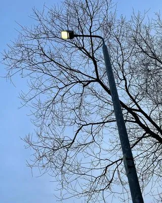 Pluck Electrical Services Logo