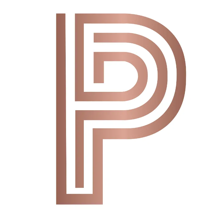 Slide of Plug Electric