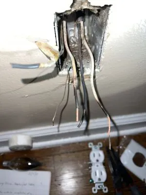 Plugged Electricians Logo