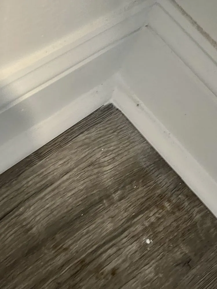 Slide of Plus Fifty Eight Solutions