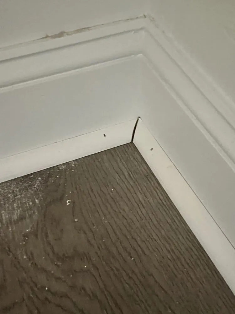 Slide of Plus Fifty Eight Solutions