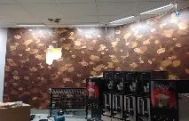 Slide of Poe Electric