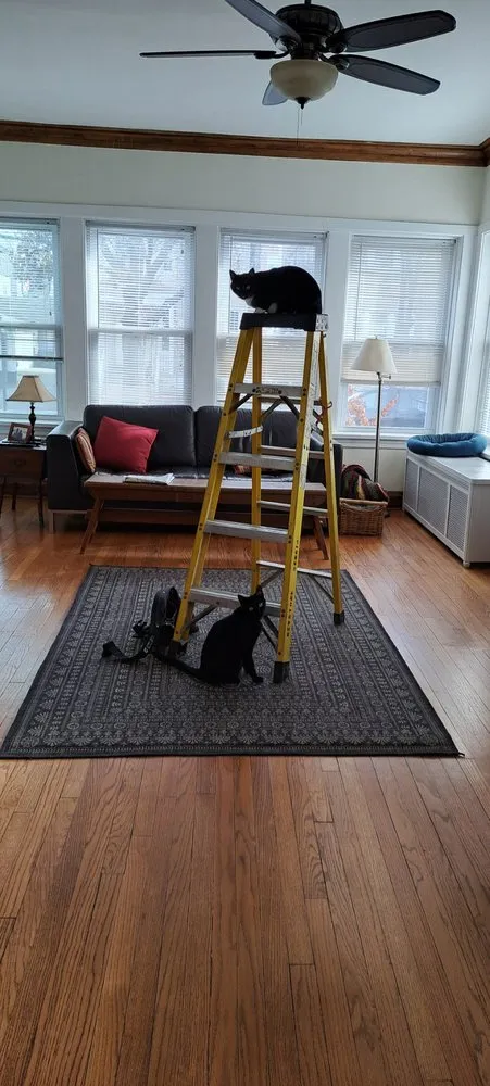 Slide of Point Electric