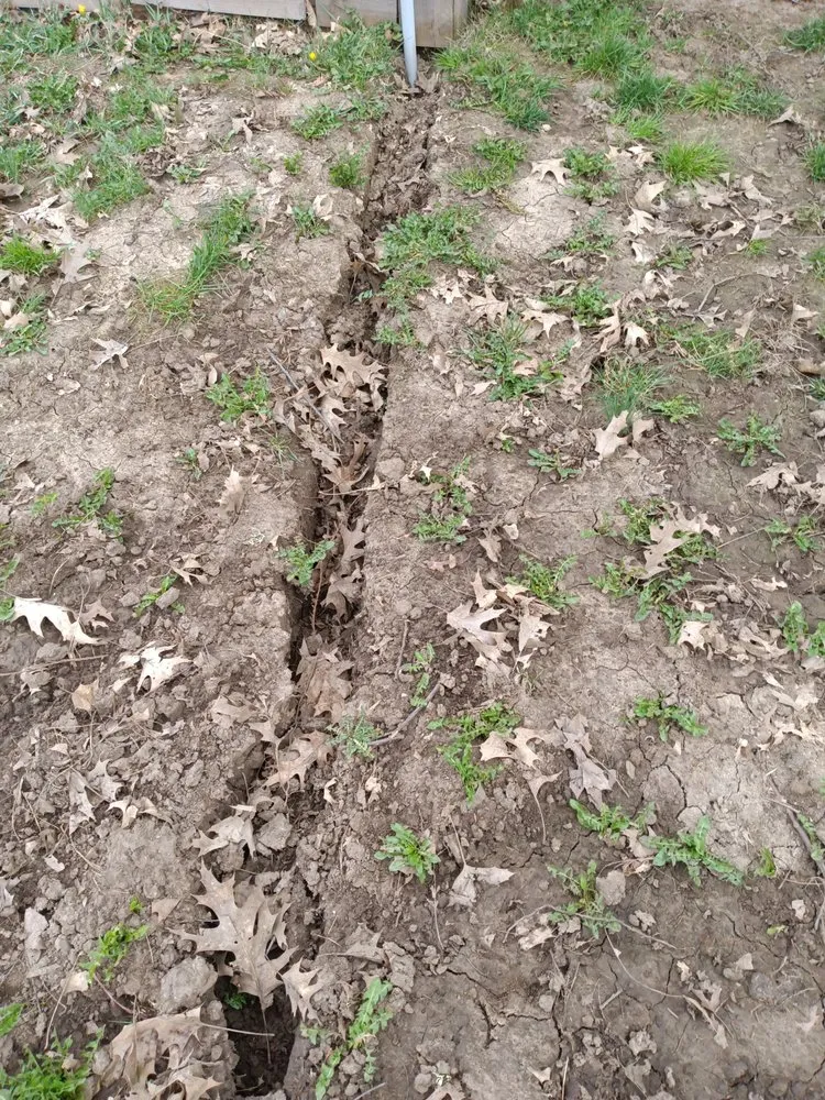 Slide of Positive Electric