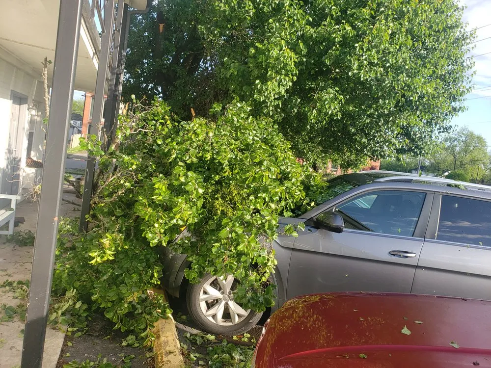 Slide of Positive Solutions