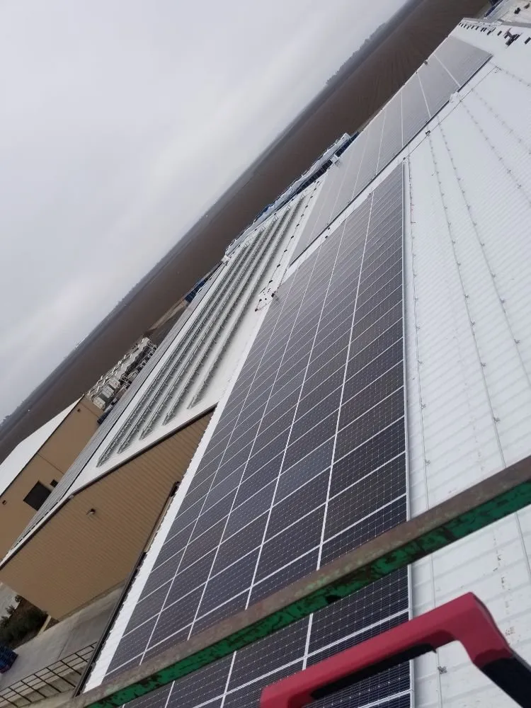 Slide of Positively Electric