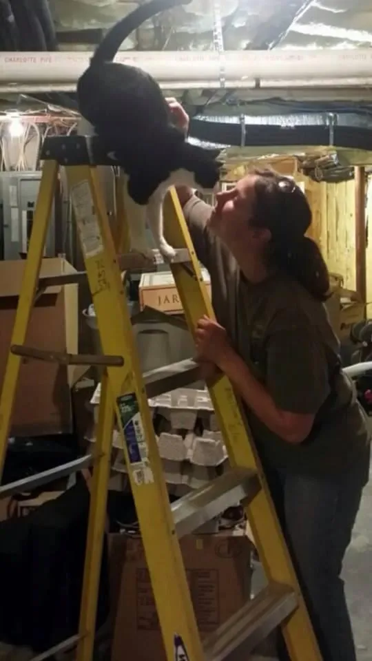 Professional electrical repair in ,  by Positively Electric