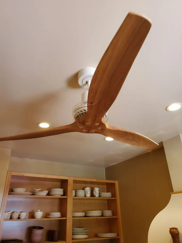 Slide of Positively Electrical