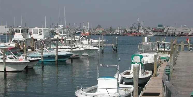 Slide of Poulo Electric