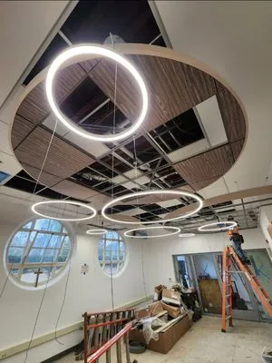 Power & Lighting Electric Logo