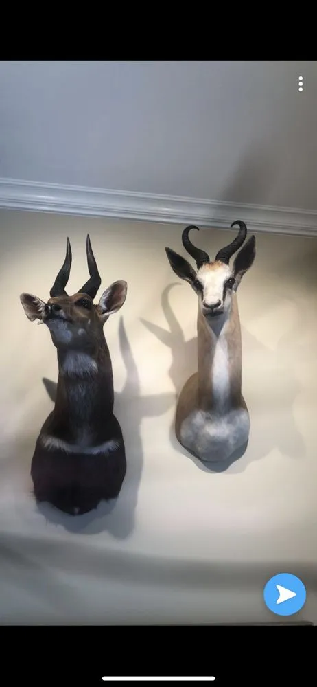 Slide of Power Rangers Electric