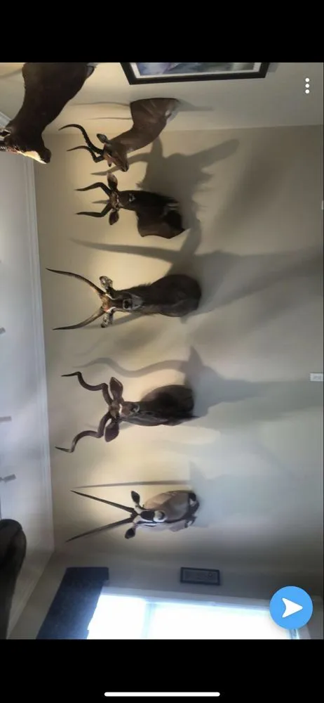 Slide of Power Rangers Electric