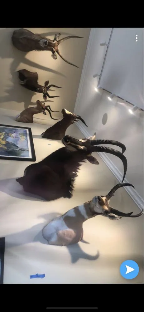 Slide of Power Rangers Electric