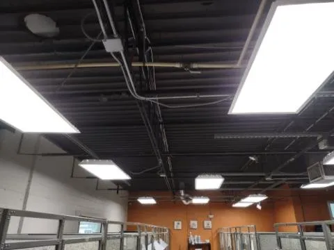 Trusted electrician providing lighting installation in , 