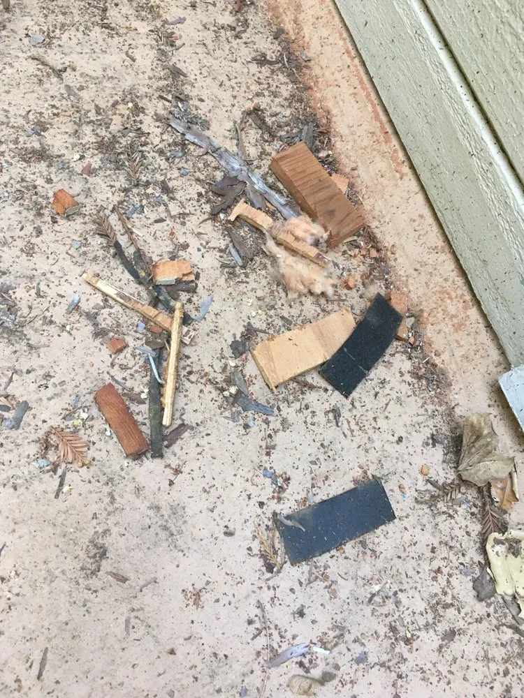 Slide of Power Trip Electric