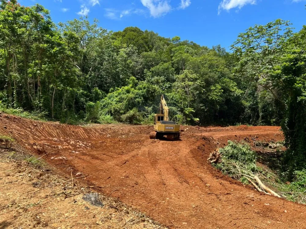 Slide of Practicallity Management Group