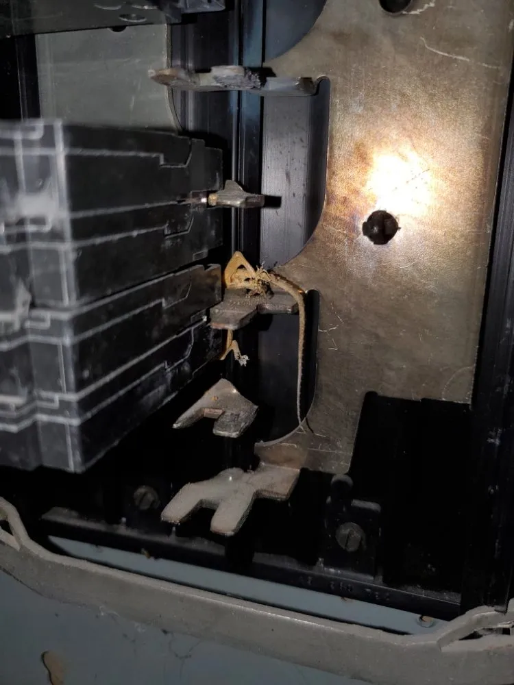 Slide of Practicallity Management Group