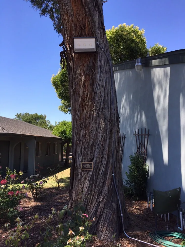 Slide of Precision Electric