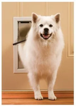 Affordable electrical service for homes in electrical repair,  by 