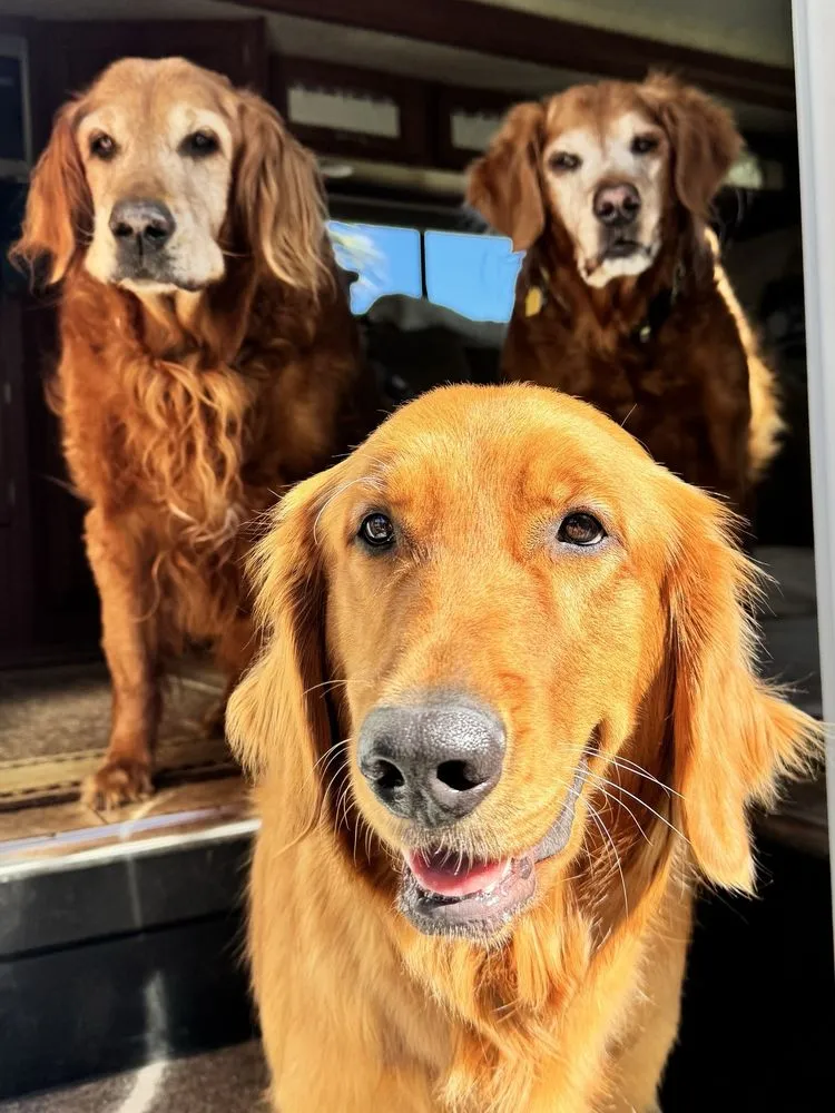 Certified electrical repair in ,  by Preferred Home Services