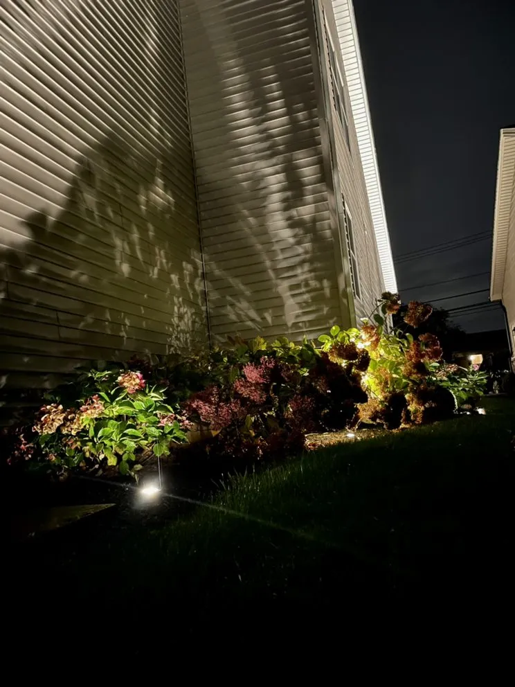 Slide of Premier Lighting