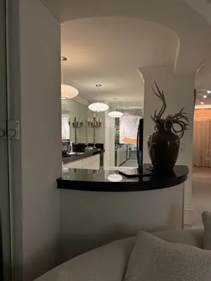 Premier Pro Electric