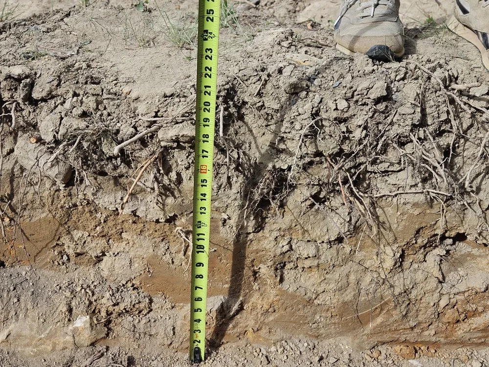 Expert wiring installation in ,  by Prestige Electric