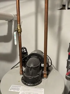 prestige home building