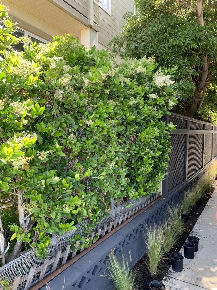 Reliable lighting installation service in ,  - Prestige Home Building