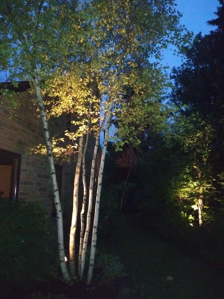 Slide of Preuss Electric