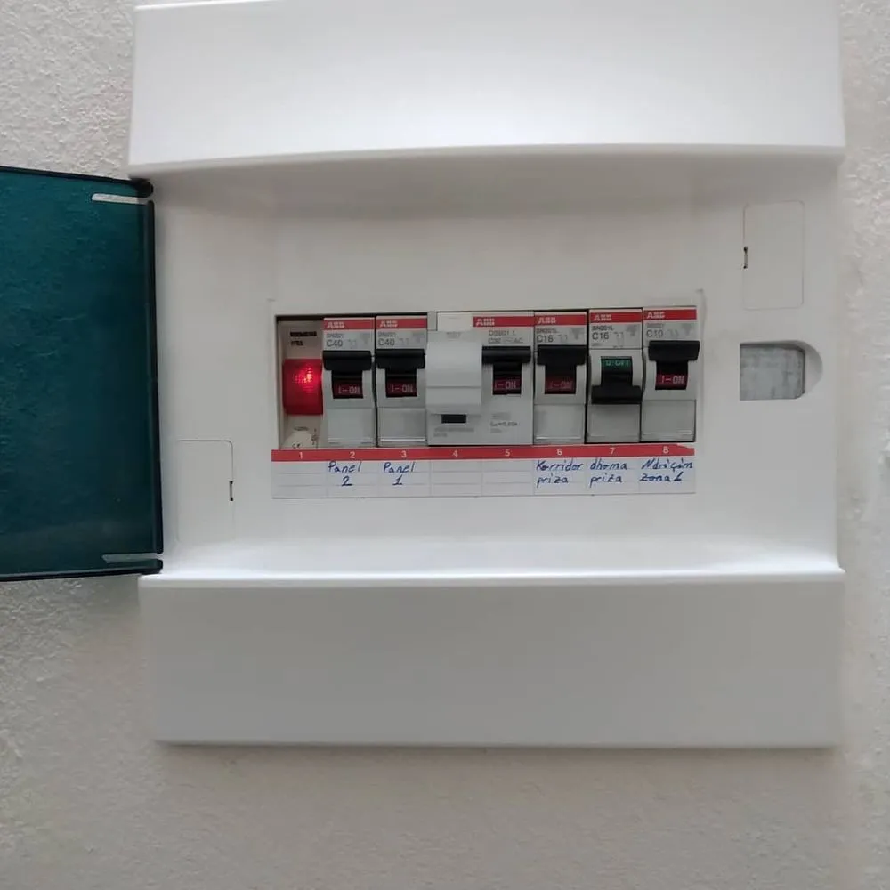 Slide of Prevalence Electricians