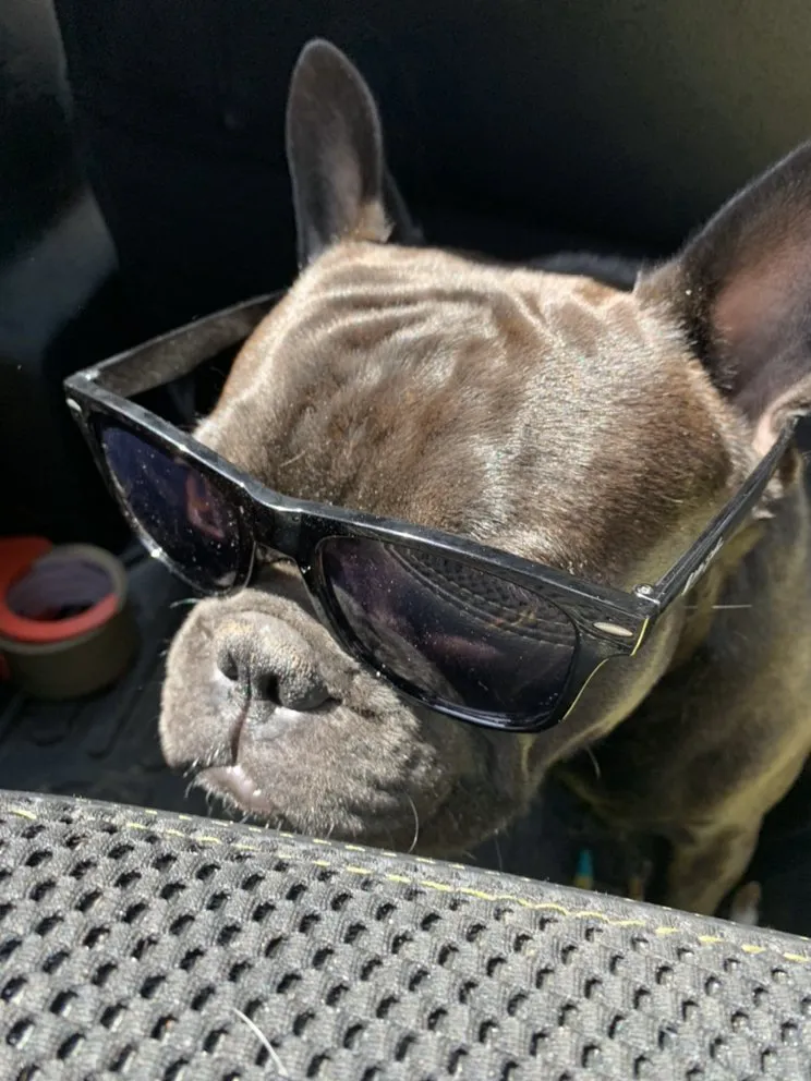 Professional electrical service for homes in wiring installation,  by 