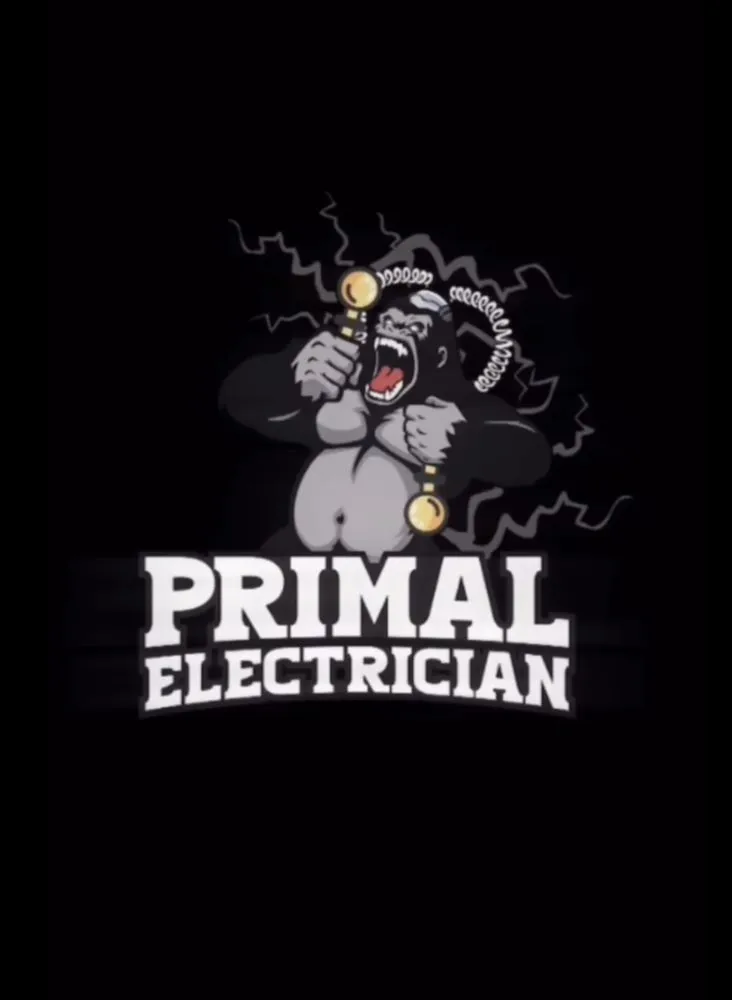 Slide of Primal Electric
