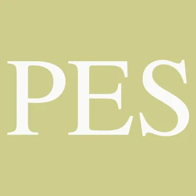 Slide of Primary Electircal Services