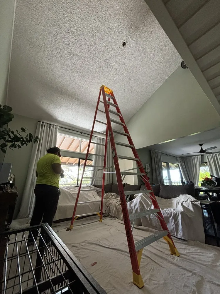 Slide of Primary Electric Hawaii