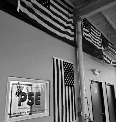 Primary Source Electric Logo