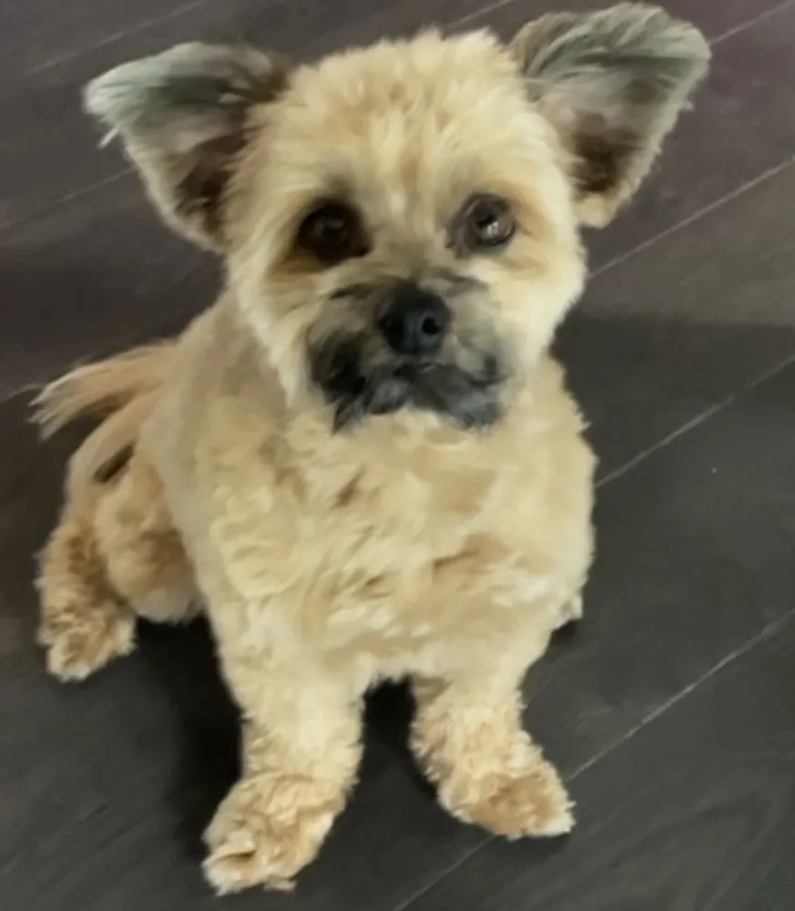 Slide of Prime Building Solutions